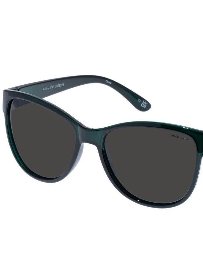 "سولاريزد" قطة جلام