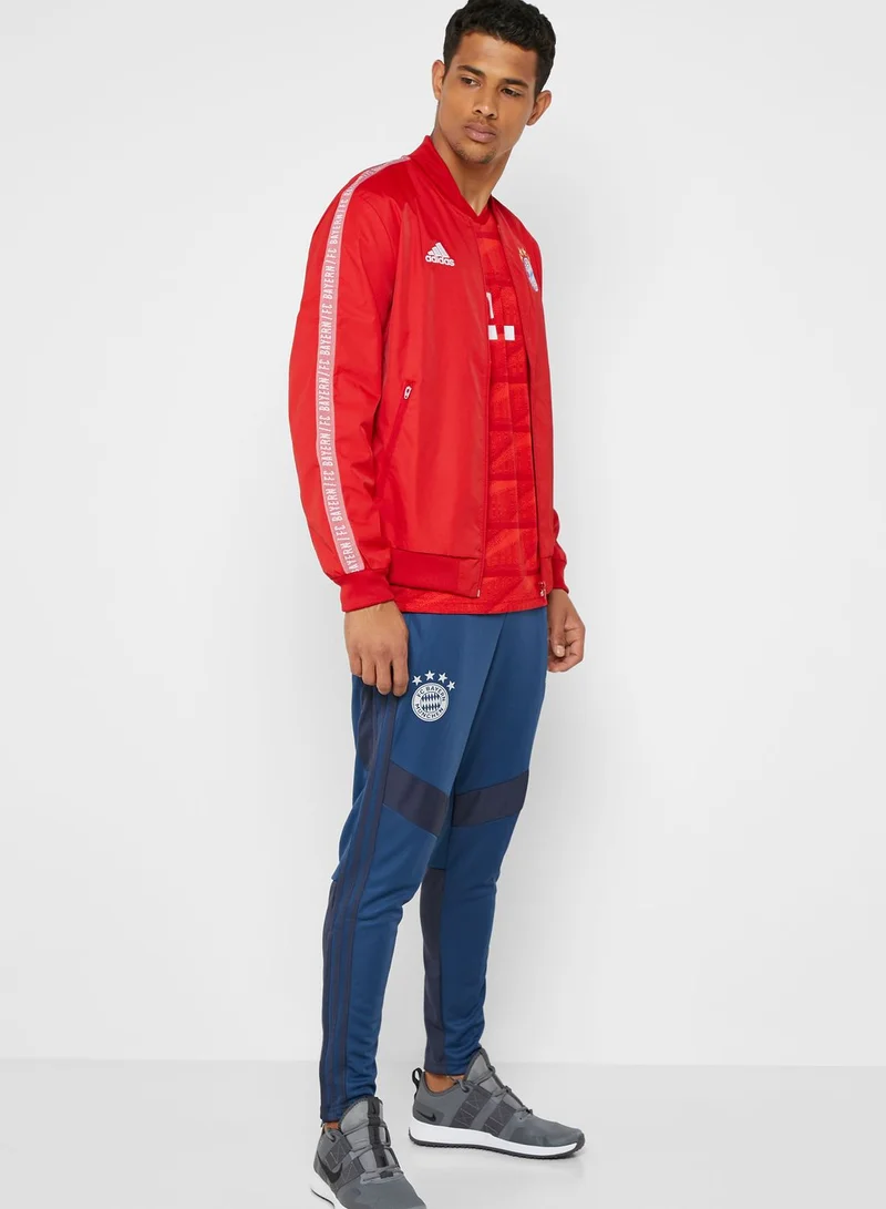 Adidas FC Bayern Sweatpants