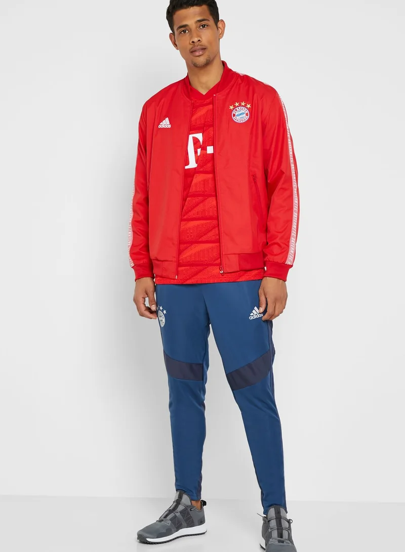 Adidas FC Bayern Sweatpants