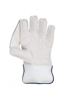 SG Rsd Xtreme Wicket Keeping Gloves (Multi-Color) W.K. Gloves-Youth  - Image 3