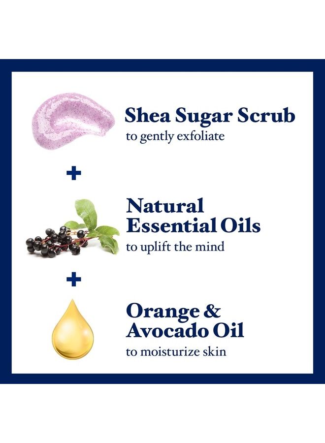 Dr Teal's Shea Sugar Body Scrub, Black Elderberry with Essential Oils, 19 oz (Pack of 3) (Packaging May Vary)  - Image 2