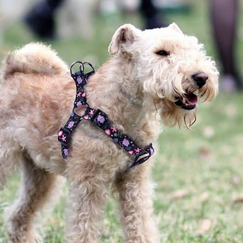 QQPETS Dog Harness Leash Set Adjustable Heavy Duty No Pull Halter Harnesses for Small Medium Large Breed Dogs Back Clip Anti-Twist Perfect for Walking - Image 2