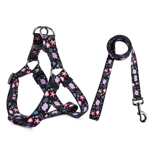 QQPETS Dog Harness Leash Set Adjustable Heavy Duty No Pull Halter Harnesses for Small Medium Large Breed Dogs Back Clip Anti-Twist Perfect for Walking - Image 1