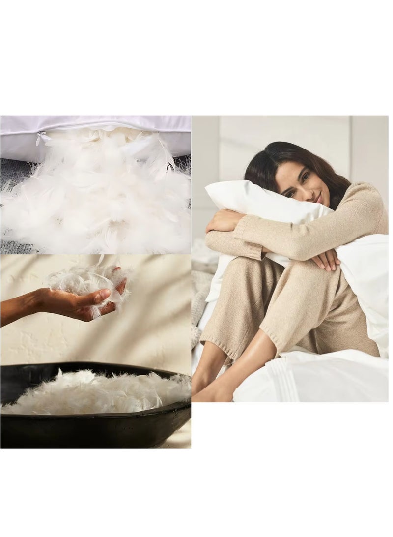 1-Piece Feather Bed Pillow Luxurious Comfort with Goose Feather and 100% Cotton Fabric, (White, Size 50x70 CM)