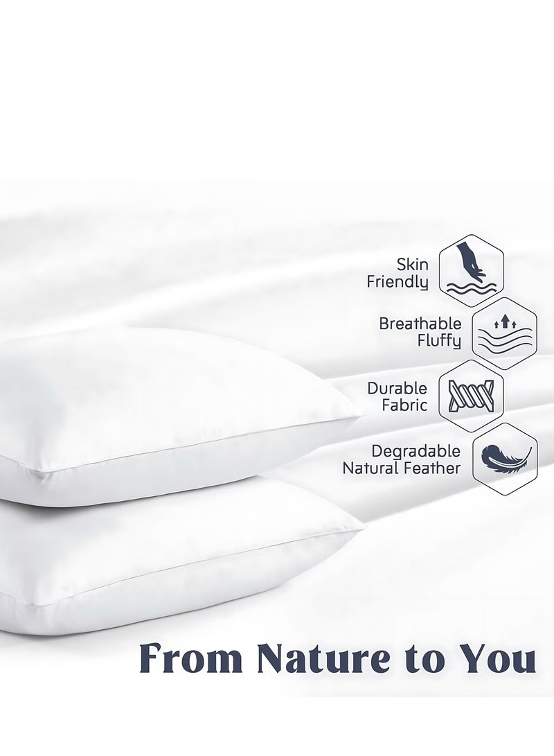 MAXQON 1-Piece Feather Bed Pillow Luxurious Comfort with Goose Feather and 100% Cotton Fabric, (White, Size 50x70 CM)  - Image 4