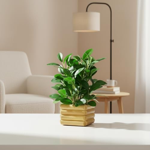 fancymart Artificial Rubber Plant in Wooden Pot Perfect Potted Decoration for Home Living Room & Office Spaces Height - 28cm… - Image 2