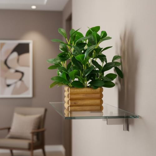 fancymart Artificial Rubber Plant in Wooden Pot Perfect Potted Decoration for Home Living Room & Office Spaces Height - 28cm… - Image 5