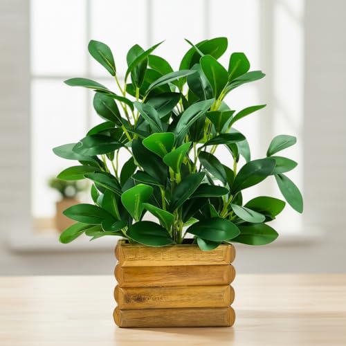 fancymart Artificial Rubber Plant in Wooden Pot Perfect Potted Decoration for Home Living Room & Office Spaces Height - 28cm… - Image 1