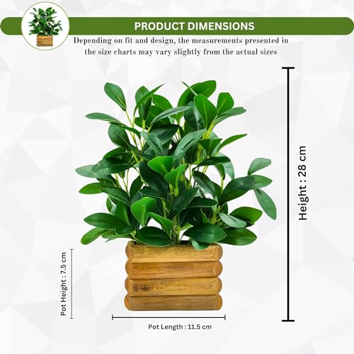 fancymart Artificial Rubber Plant in Wooden Pot Perfect Potted Decoration for Home Living Room & Office Spaces Height - 28cm… - Image 4