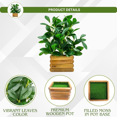 fancymart Artificial Rubber Plant in Wooden Pot Perfect Potted Decoration for Home Living Room & Office Spaces Height - 28cm… - Image 3