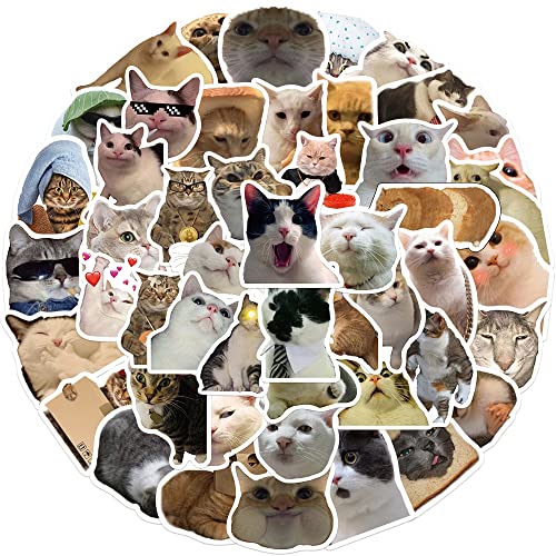 LCCZRY 50Pcs Cat Stickers Pack, Kawaii Vinyl Waterproof Stickers for Laptop, Water Bottle, Skateboard, Luggage, Car Bumper - Cute Cat Designs for Girls, Kids, Teens - Image 2
