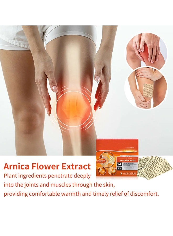 EELHOE Advanced Joint Pain Relief Joint Care Patch for Relieving Shoulder Neck Lumbar Spine Hand Foot Knee Pain and Body Care Patch All-Natural Ingredients for Effective Arthritis Soothing - Image 2