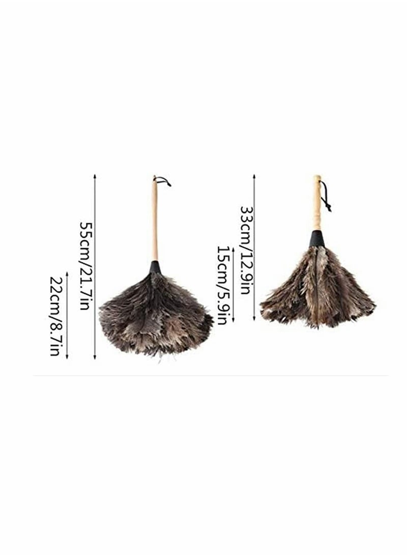 Generic - Ostrich Feather Duster Set for Home & Car Cleaning, Soft & Fluffy, Eco-Friendly, Easy to Clean & Reuse, Suitable for Dusting (2 Pcs) - Image 1