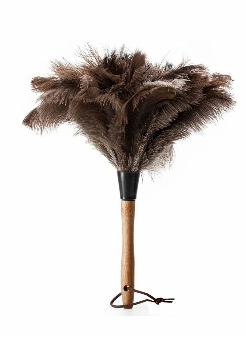 Generic - Ostrich Feather Duster Set for Home & Car Cleaning, Soft & Fluffy, Eco-Friendly, Easy to Clean & Reuse, Suitable for Dusting (2 Pcs) - Image 1