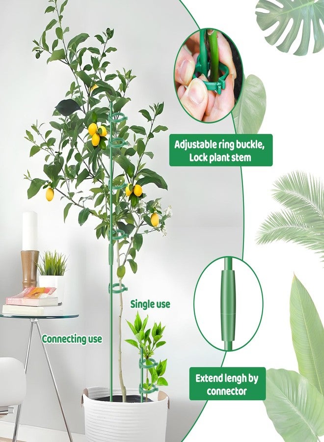 Dntorx 18Pcs Plant Stakes,16inch & 12inch Adjustable Plant Support Stake Plant Sticks for Indoor Outdoor Green Poles with Rings Clips & Ties for Potted Plants Monstera Tomato Orchid Flower - Image 4