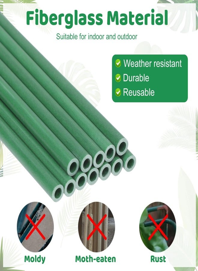 Dntorx 18Pcs Plant Stakes,16inch & 12inch Adjustable Plant Support Stake Plant Sticks for Indoor Outdoor Green Poles with Rings Clips & Ties for Potted Plants Monstera Tomato Orchid Flower - Image 3