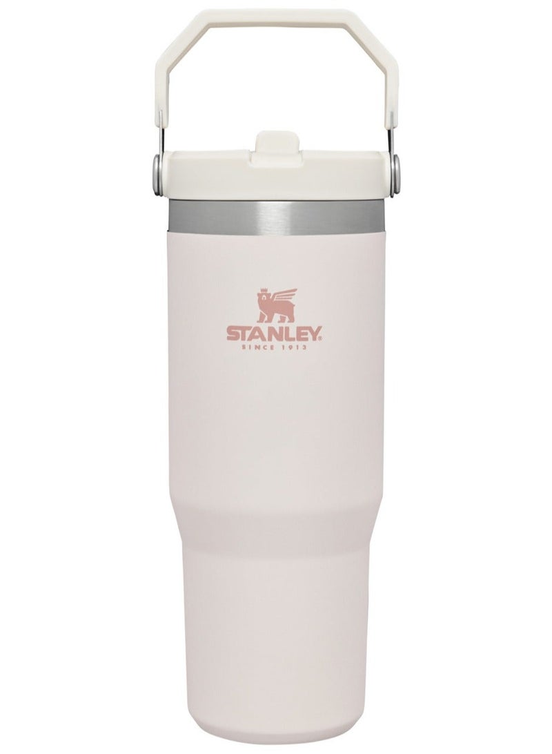 Stanley Large Capacity Insulated Water Bottle - Image 1
