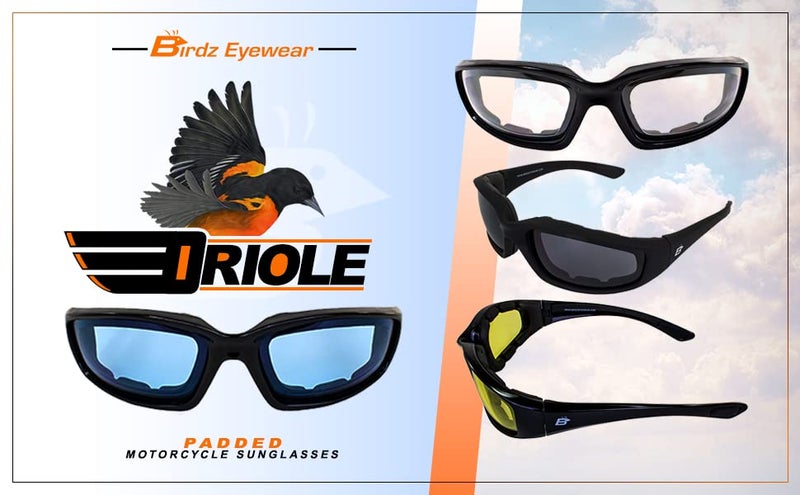 Birdz Eyewear Oriole Padded Motorcycle Glasses Black Frame with Smoked Anti-Fog Lenses and Full Foam Padding - Image 4