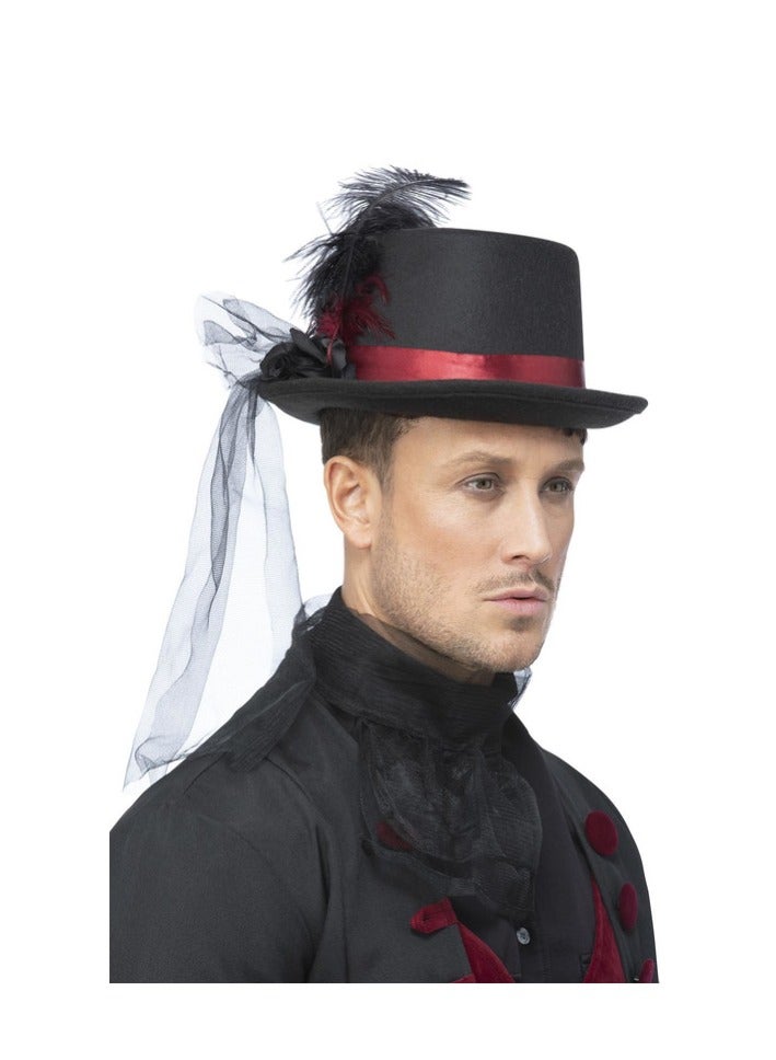 Top Hat with Veil & Feathers