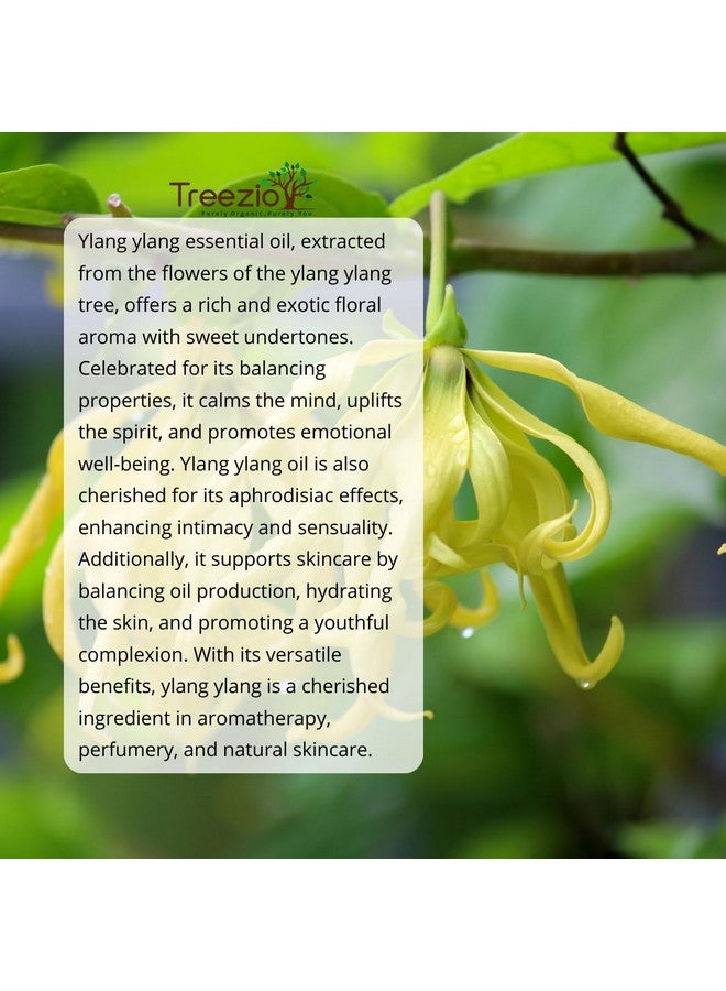 Treezio Ylangylang Essential Oil - Mood Balancer, Stress Relief, And Hair & Skin Care Elixir.100% Pure & Natural(15ml) - Image 3