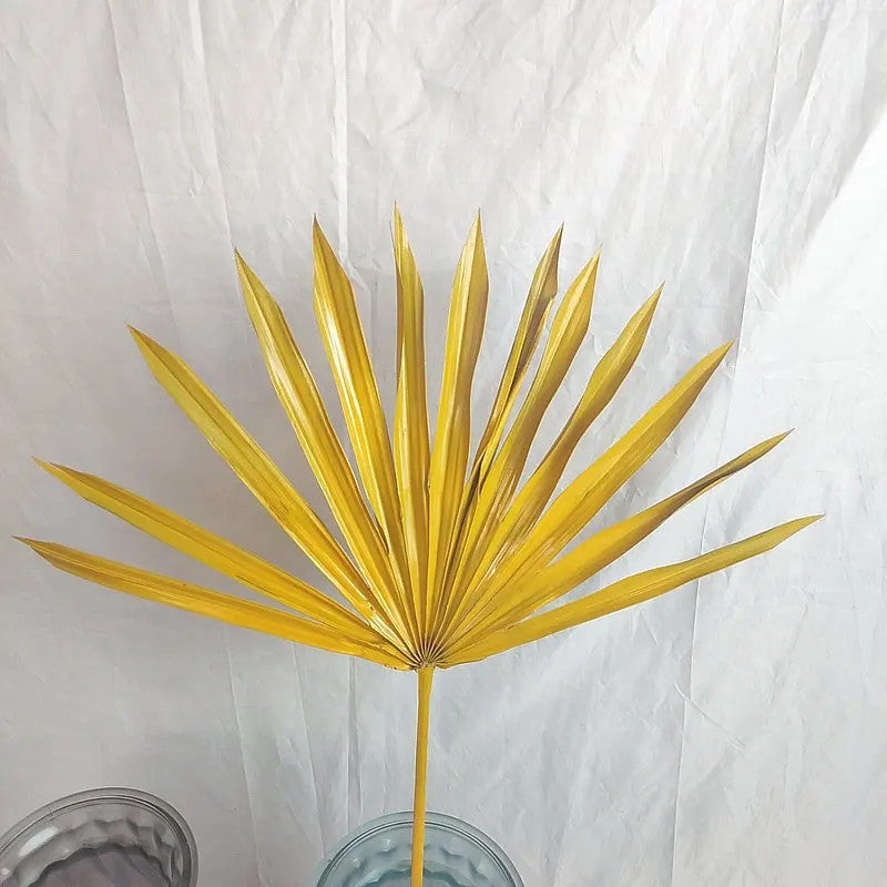Bluejw Yunnan Nordic Style Dried Flowers with Palm Leaves – Natural Dried Plants for Wedding Decor, Home Decoration, Bouquets & Eco-Friendly Palm Leaf Plates - Image 5