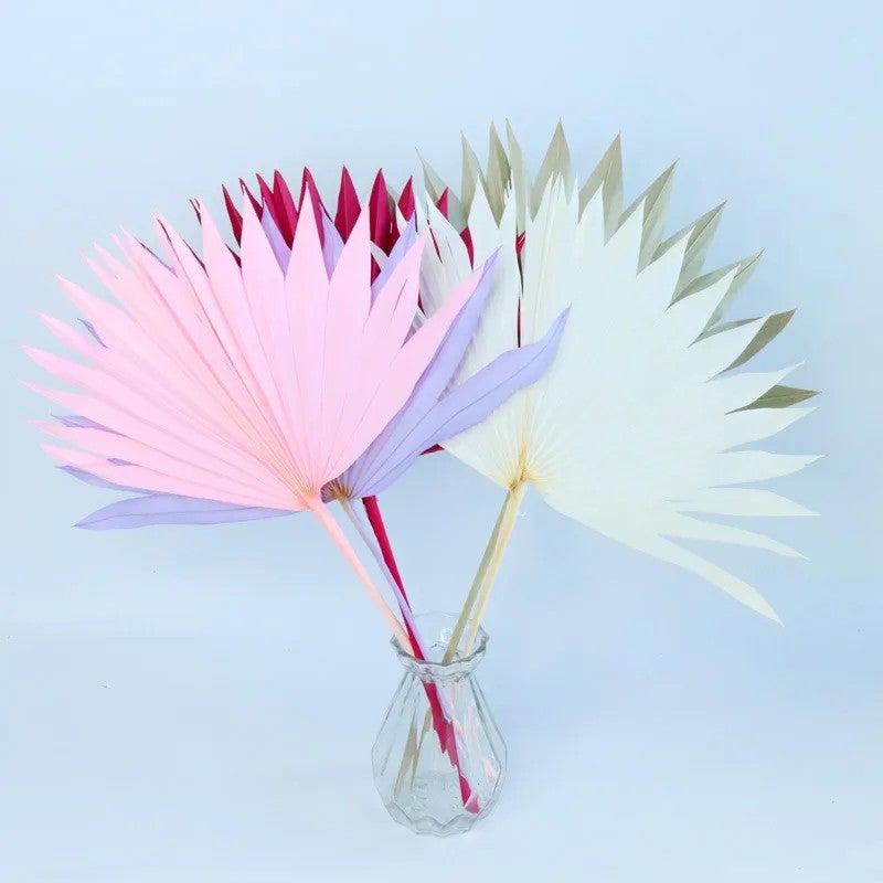 Bluejw Yunnan Nordic Style Dried Flowers with Palm Leaves – Natural Dried Plants for Wedding Decor, Home Decoration, Bouquets & Eco-Friendly Palm Leaf Plates - Image 2