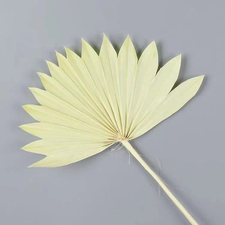Bluejw Yunnan Nordic Style Dried Flowers with Palm Leaves – Natural Dried Plants for Wedding Decor, Home Decoration, Bouquets & Eco-Friendly Palm Leaf Plates - Image 1