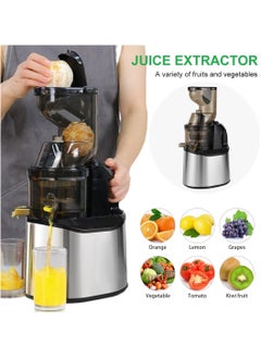 XVersion Juicer Machine Centrifugal Juicers Electric Press Juicer Stainless Steel for Whole Fruits and Vegetables Juice,Smoothie,Nut Milk with 2 Cups and Brush for Home, Office and Cafe (Silver)  - Image 2