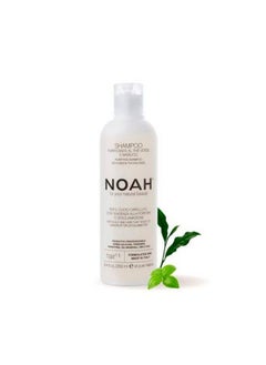 Noah Hair 1.5 Purifying Shampoo With Green Tea And Basil Organic Shampoo With Green Tea Extract And Essential Oils Natural Shampoo Dandruff Shampoo Hair Care For Natural Beauty 8.5 Fl.Oz  - Image 3