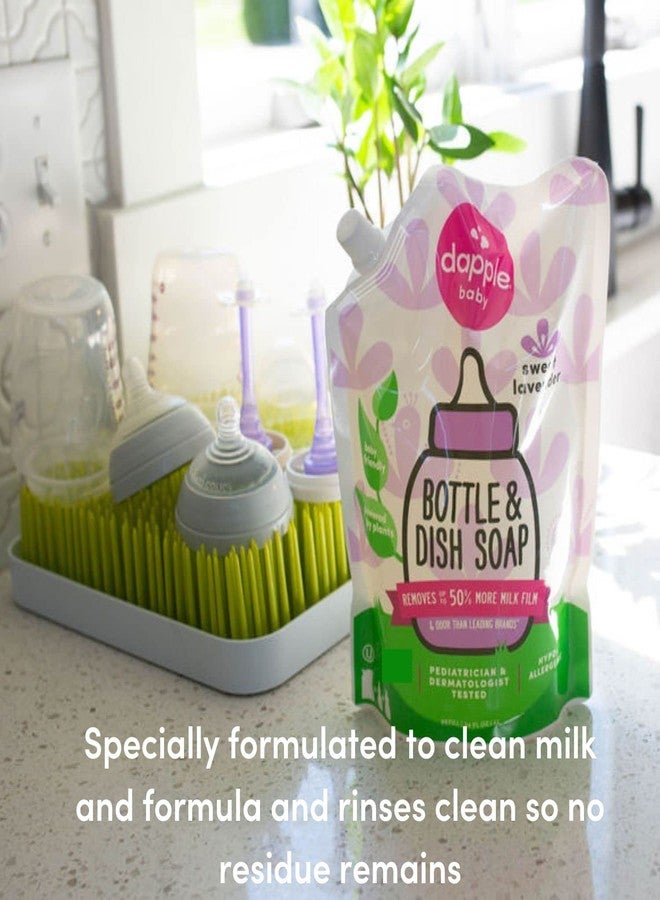 Dapple Baby Bottle Soap, Hypoallergenic Dish Soap for Baby Bottles, Powered by Plants, Lavender, 34 Fl Oz Refill (Pack of 2) - Image 2