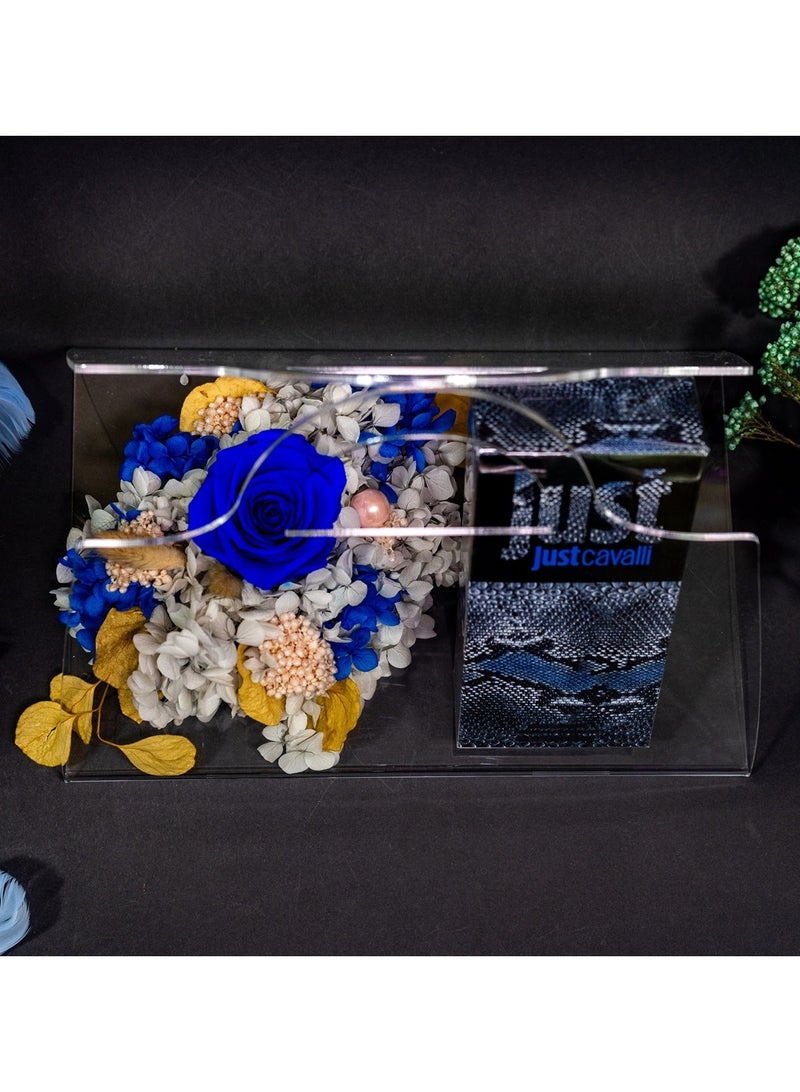   صوفيا طبيعة حقيبة أكريليك إنفينيتي محفوظة للزهور وكافالي - Image 4