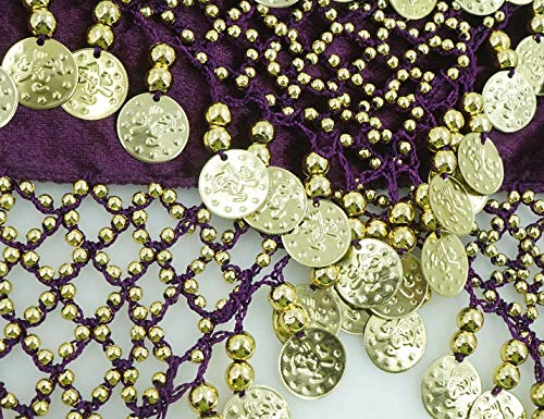 Aivtalk Hip Scarf with Coins for Women Bling Belly Dance Wrap Belt Fringe Skirt with Coins Polyester Purple - Image 2
