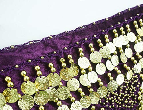 Aivtalk Hip Scarf with Coins for Women Bling Belly Dance Wrap Belt Fringe Skirt with Coins Polyester Purple - Image 3