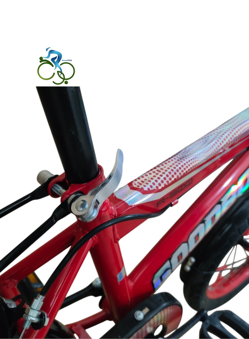 MOHAMED ABO ELGOUKH Kids Bike Good Boy R-300 - Safe and Fun for Kids - By ABOELGOUKH Warranty for One Year with Free Maintenance - Image 5