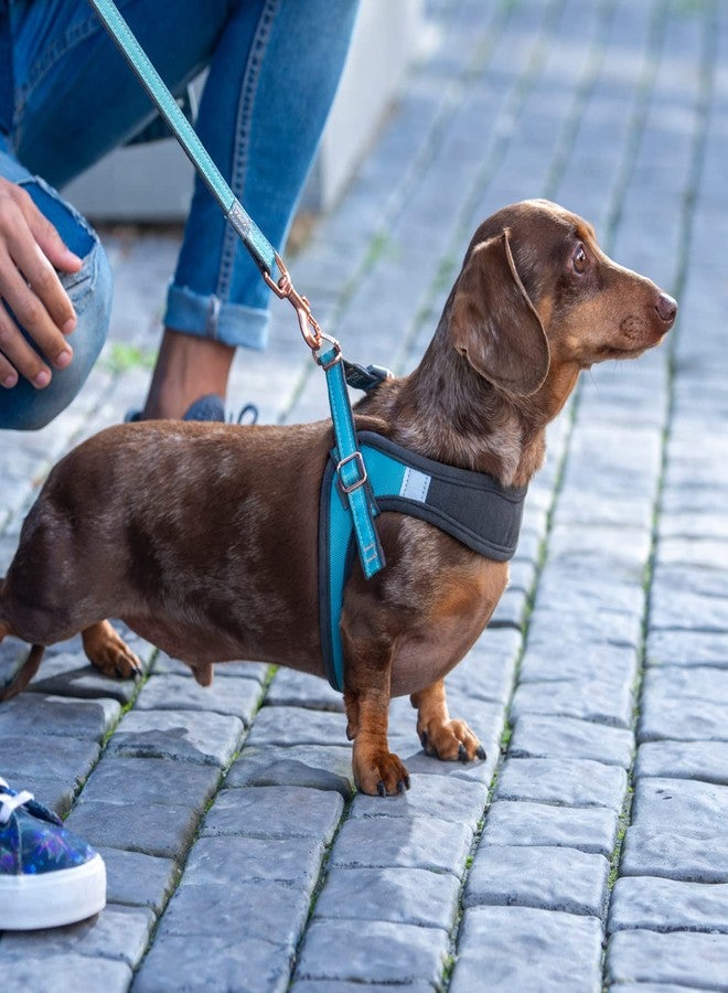 Rogz Urban Fast Fit Adjustable Harness Small/Medium fits Chest 18.5in - Turquoise Moon - Image 4