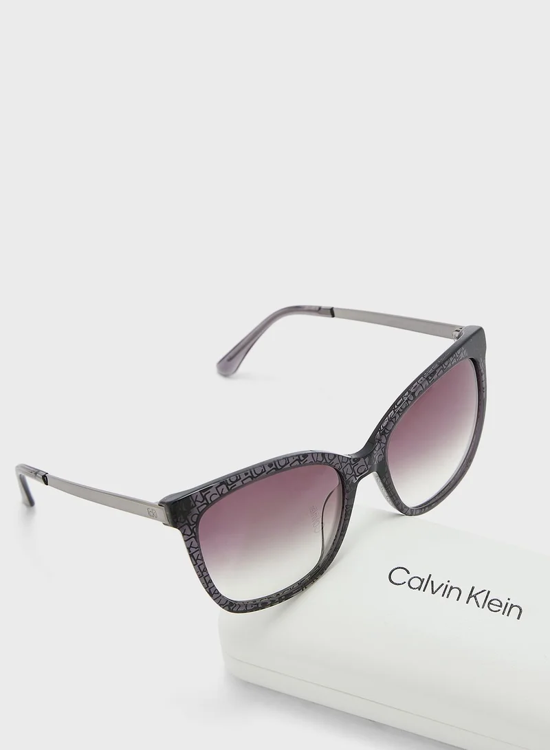 CALVIN KLEIN Square Shape Sunglasses