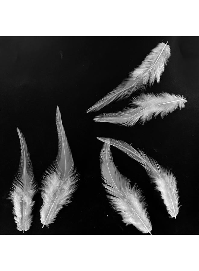 HAPPY FEATHER 100PCS Saddle Hackle Rooster for Crafts, 6-8 inch Natural Pheasant Neck s DIY Pendant Earrings Dream Catcher-White - Image 4