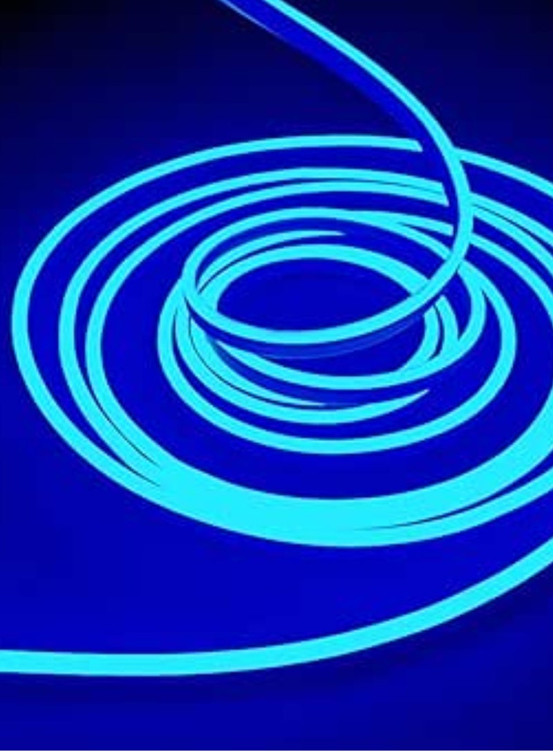 12V LED Neon Rope Strip light, 16.4ft / 5MLED Strip Lights, 12V Flexible Neon Flex for Kitchen Bedroom Indoor Outdoor Home Decor DIY Included Adaptor Color (Blue) - Image 1