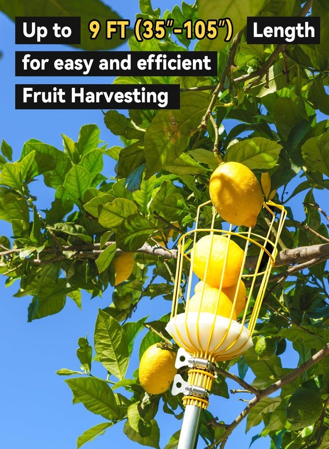 BlumeTrec 9FT Fruit Picker, Apple Picker Tool with Adjustable Pole and Basket, Long Reach Mango Grabber Tool, Tree Fruit Catcher for Picking Lemon Pear Orange Avocado Peach Citrus - Image 4