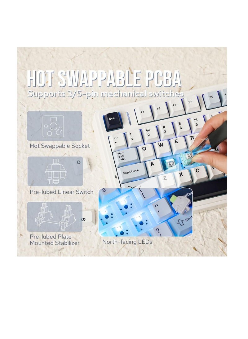 AULA F75 Gasket Mechanical Keyboard, 75% Wireless Hot Swappable Gaming Keyboard with Five-Layer Padding&Knob, Bluetooth/2.4GHz/USB-C, RGB (Light Blue, LEOBOG Reaper Switch)