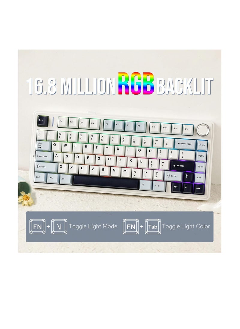 AULA F75 Gasket Mechanical Keyboard, 75% Wireless Hot Swappable Gaming Keyboard with Five-Layer Padding&Knob, Bluetooth/2.4GHz/USB-C, RGB (Light Blue, LEOBOG Reaper Switch)