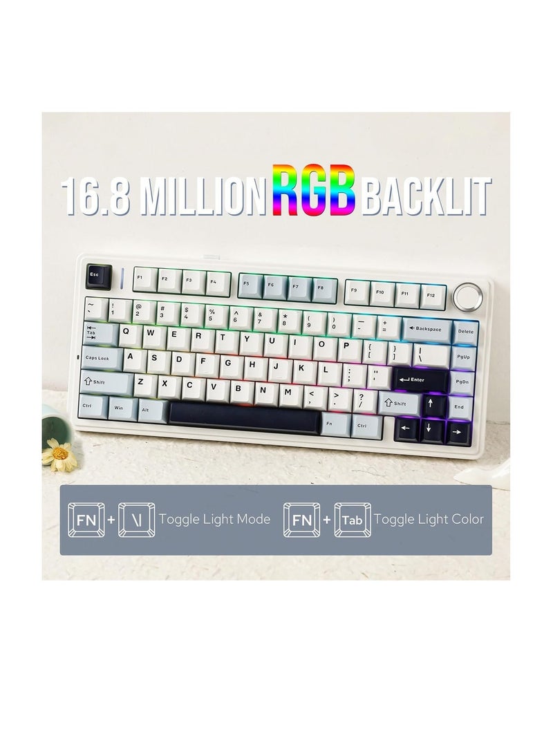 AULA F75 Gasket Mechanical Keyboard 75% Wireless – Hot Swappable RGB Gaming Keyboard with Knob, Bluetooth / 2.4GHz / USB-C, Light Blue, LEOBOG Reaper Switch - Image 5