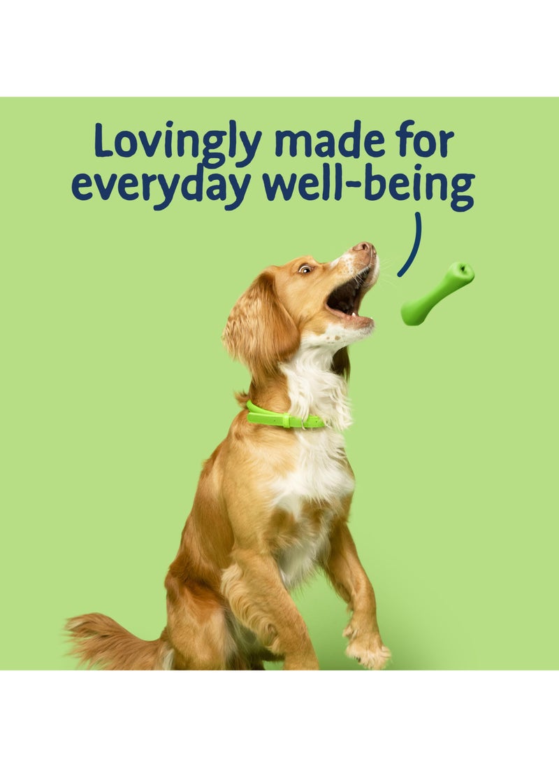 Barking Heads - Complete Dry Dog Food 2kg - Adult All Hounder Bowl Lickin' Goodness Lamb - Natural Everyday Immunity & Vitality - Vet Approved - Image 1