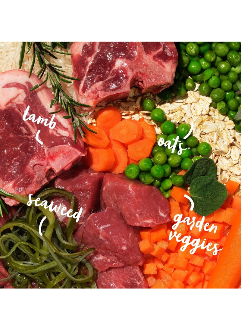 Barking Heads - Complete Dry Dog Food 2kg - Adult All Hounder Bowl Lickin' Goodness Lamb - Natural Everyday Immunity & Vitality - Vet Approved - Image 1