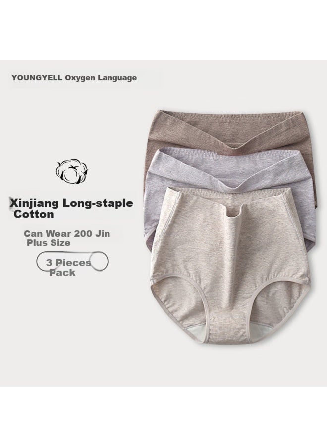 Youngyell Women's High-waist Plus Size Panties, 200 Jin Capacity, 10a Antibacterial Pure Cotton Crotch, Middle-aged And Elderly Underwear, 3 Pairs - Image 1