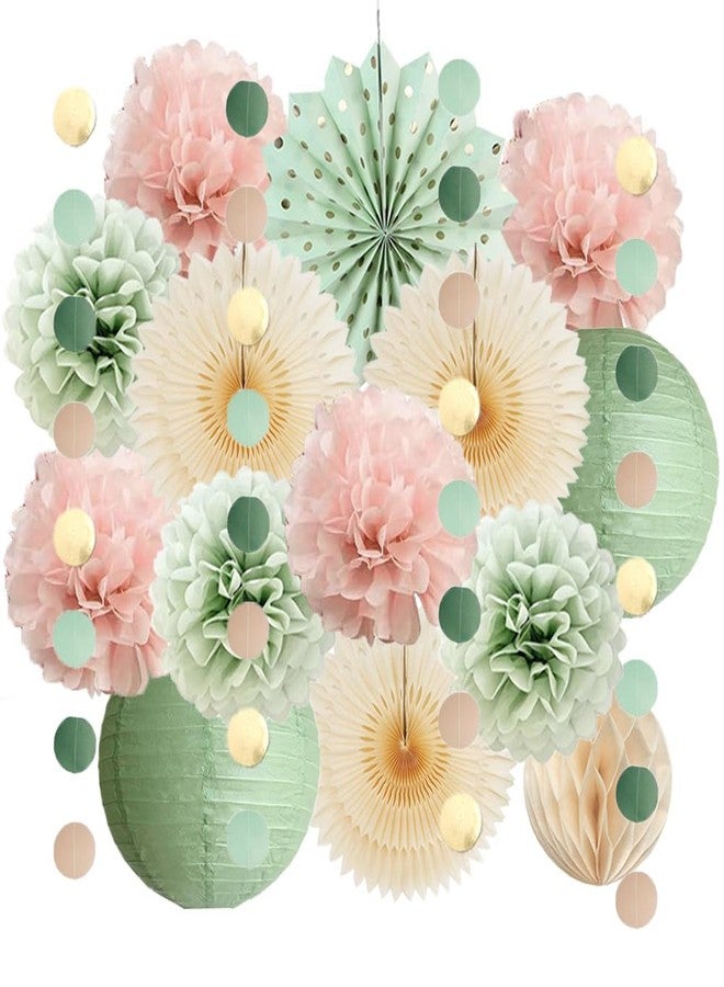 FETETIJD Sage Green and Blush Pink Party Decorations Paper Lanterns Sage Green Cream Paper Fans Light Pink Tissue Paper Pom Poms for Sage Green and Dusty Pink Birthday Baby Shower Bridal Shower Wedding - Image 1