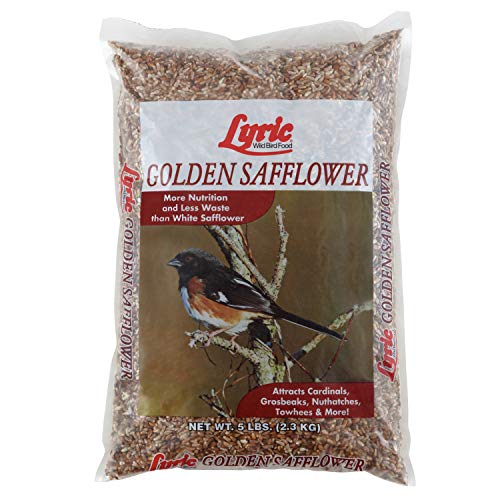 Lyric 26-47275 Lyric Safflower Seed for Wild Birds - Image 1