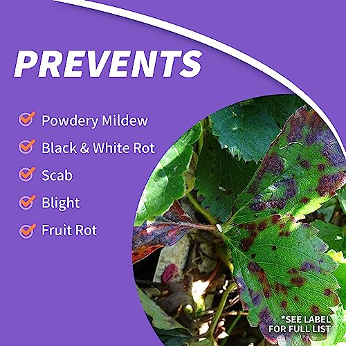Bonide Fruit Tree & Plant Guard, 16 oz Concentrate, Multi-Purpose Fungicide, Insecticide and Miticide for Home Gardening - Image 4