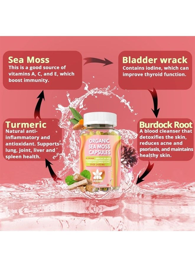 EnvyDeal - Sea Moss Capsules 2400mg, 120 Counts Jamaican Moss with Burdock Root, Bladderwrack, Turmeric Raw Organic Sea Moss Supplement Rich in Minerals, Vitamins for Immune System, Gut Cleanse & Thyroid - Vegan - Image 1