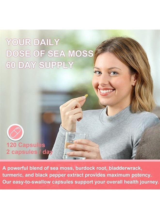 EnvyDeal - Sea Moss Capsules 2400mg, 120 Counts Jamaican Moss with Burdock Root, Bladderwrack, Turmeric Raw Organic Sea Moss Supplement Rich in Minerals, Vitamins for Immune System, Gut Cleanse & Thyroid - Vegan - Image 1